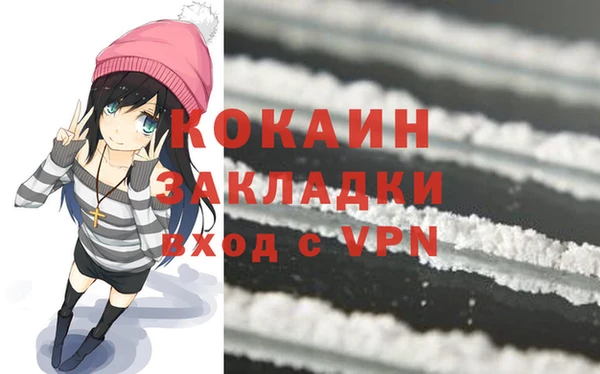 индика Верхний Тагил