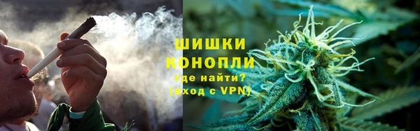 индика Верхний Тагил