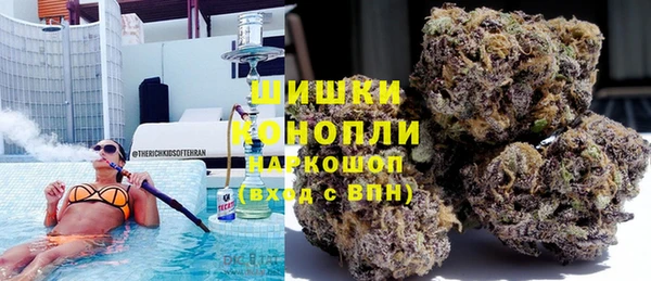 индика Верхний Тагил