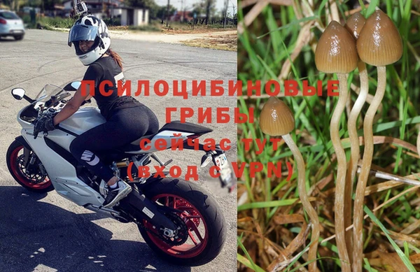 синтетический гашиш Верея