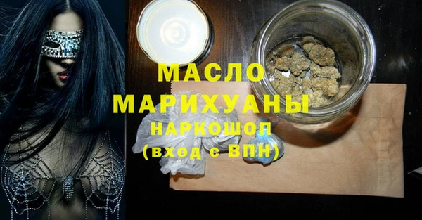 индика Верхний Тагил