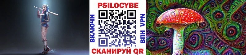 Купить закладки  Катав-Ивановск  Галлюциногенные грибы Magic Shrooms 